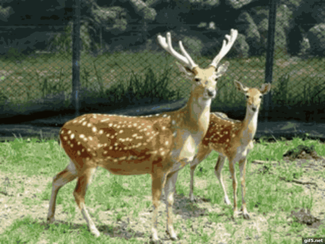 筝齐斗"音":特邀 超级女声总冠军安又琪,著名男歌手徐誉滕,草原甜歌妹