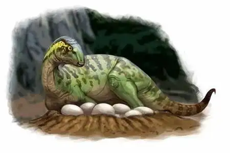 橡树龙:侏罗纪期灵巧的植食性恐龙