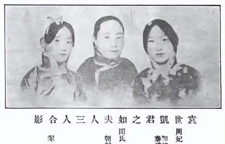 袁克文出生于1890年,正是袁世凯驻扎朝鲜,青云直上之时.