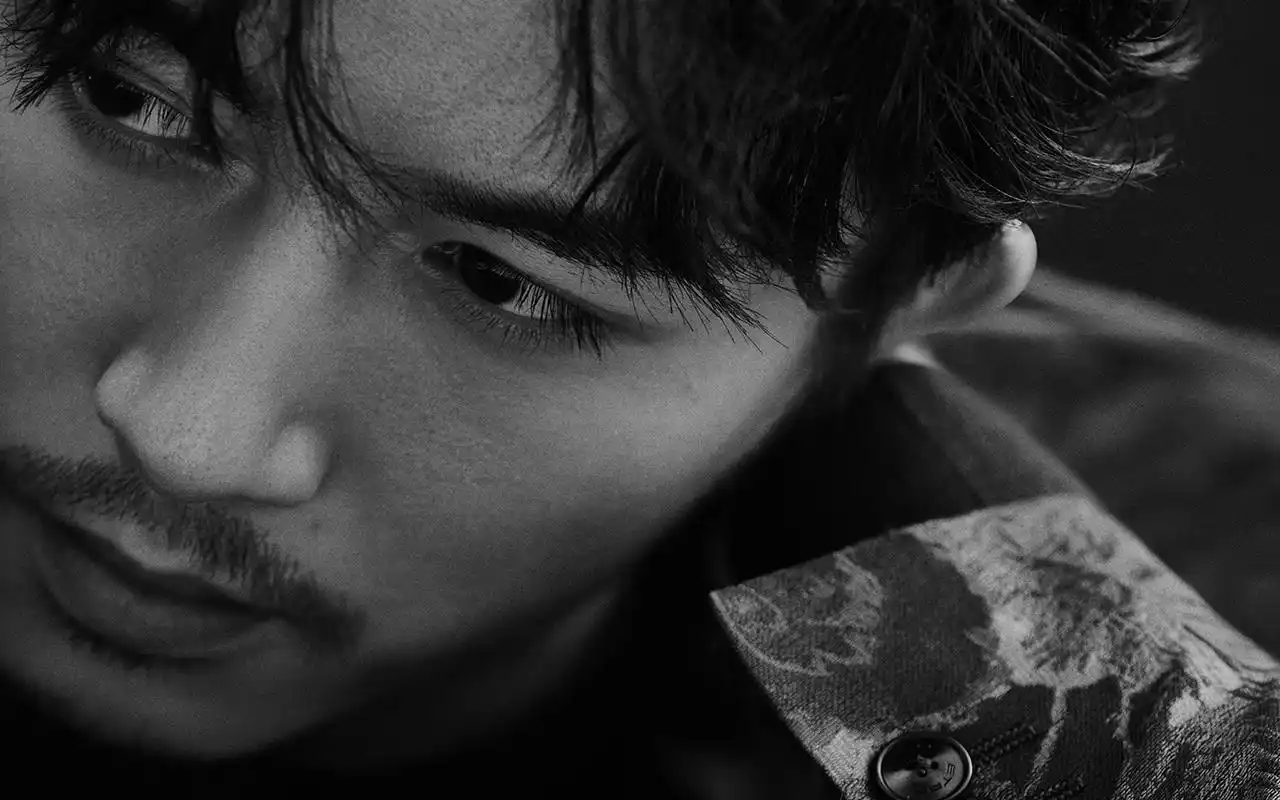 陈晓成熟黑白杂志写真高清图片壁纸