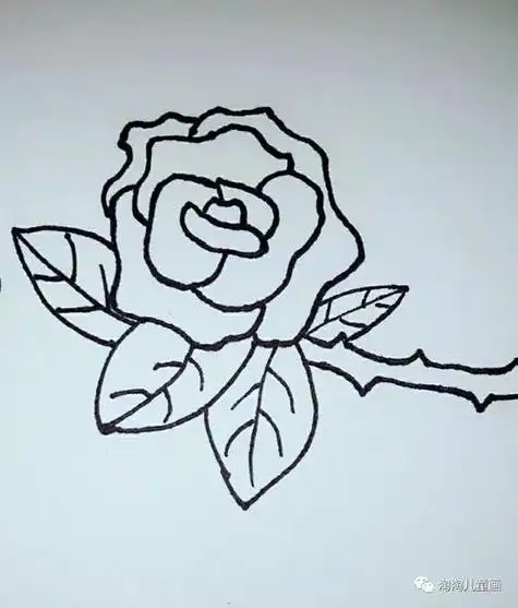 玫瑰花怎么画好看玫瑰花怎么画好看又漂亮