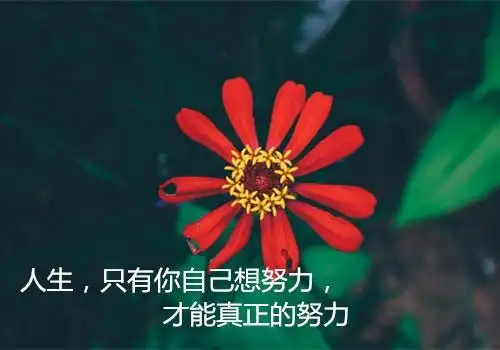 做强大的自己励志语录鼓励自己内心强大的句子