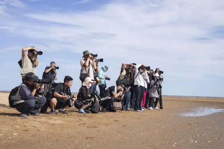维国摄影俱乐部东沙河渔船人像外拍活动花絮