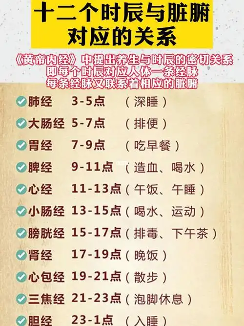 十二个时辰与脏腑的对应关系是什么?
