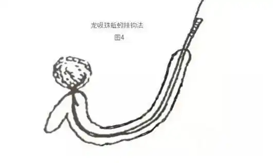 图解蚯蚓的七种挂钩