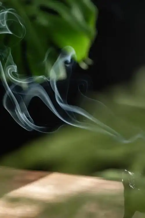 禅· 香"器"|一缕沉香起,万虑随风去