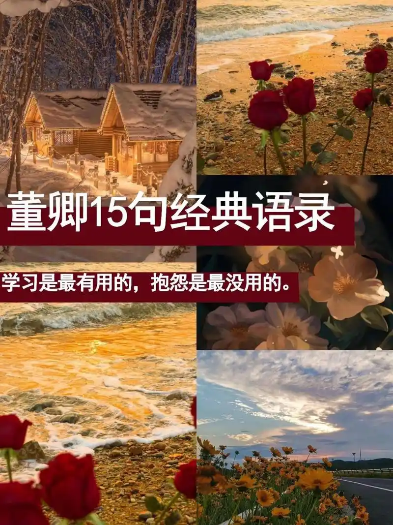 25 董卿15句经典语录 781,任何事情都好象是一个抛物线,慢慢上升到