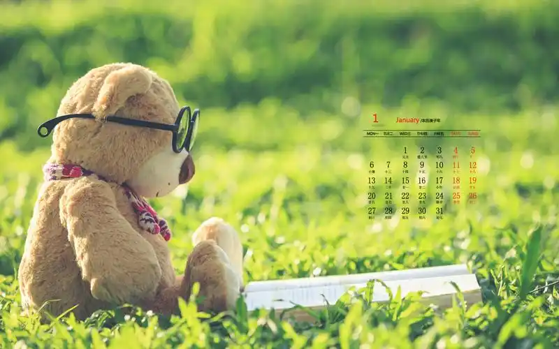 2020年1月可爱泰迪熊图片日历壁纸