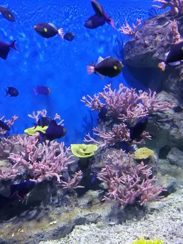 去海洋馆玩,真开心啊!