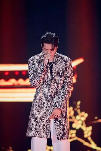 吴亦凡湖南卫视跨年晚会图片1418