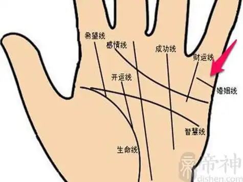 感情线有三角纹好吗 感情容易出现问题