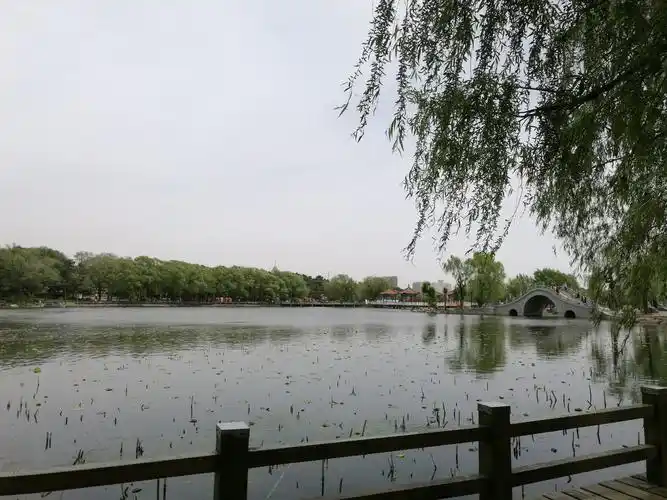 2019-5-30 一个人发呆