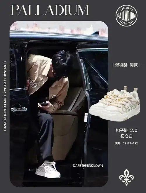 palladium帕拉丁##张凌赫##pà的星朋友##明星同款##张凌赫何苏叶