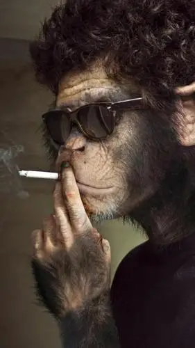 亲身悟出的忌烟诀窍