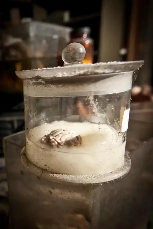 恐怖在一个废弃的实验室