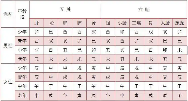 肾病是家里风水哪里出了十二地支在阳宅风水中