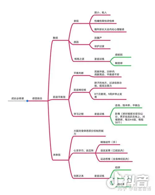感觉统合思维导图学习笔记