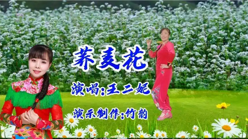 王二妮演唱《荞麦花》地道陕北民歌,醉人旋律百听不厌