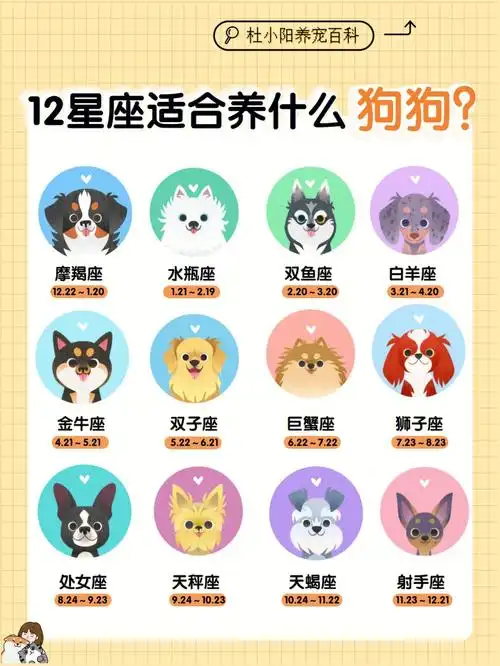 12星座都适合养什么狗20版据说超准