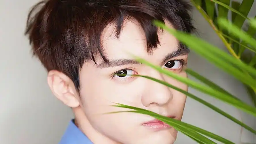 明星风尚 曾舜晞壁纸