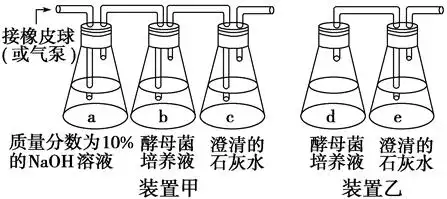 如图为探究酵母菌的呼吸方式的实验装置有关叙述不正确的是