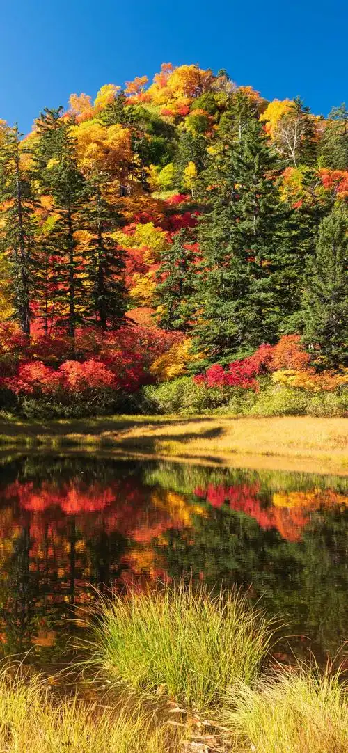 有哪些比较好看的风景壁纸? - 知乎