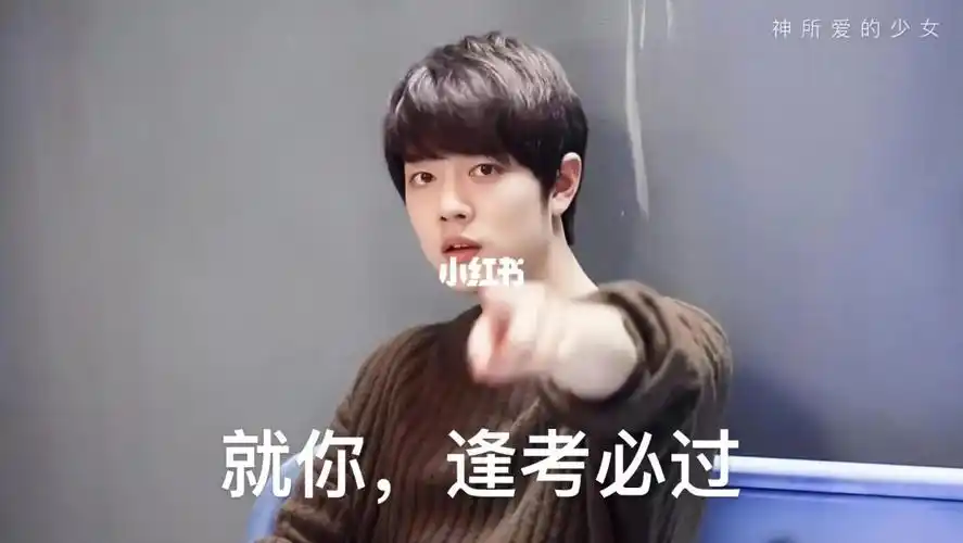 肖战教会我的道理