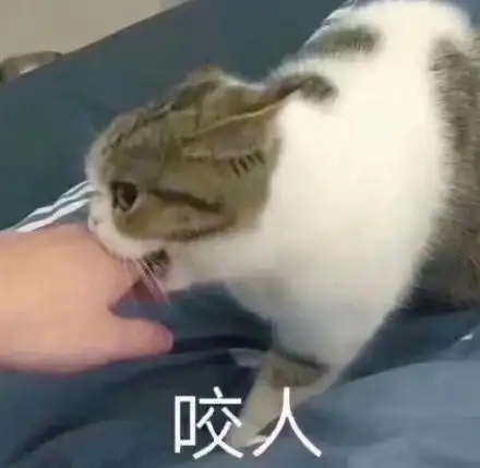 咬人猫咪