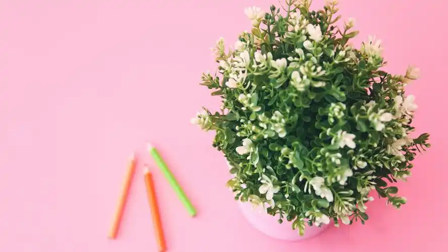 少女心壁纸【87】