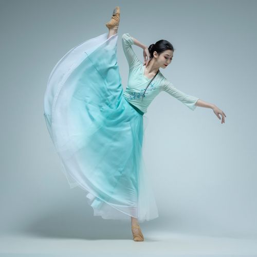 古典雨涧春行图服装舞蹈演出服飘逸大裙摆中国风艺考服汉唐纱衣服