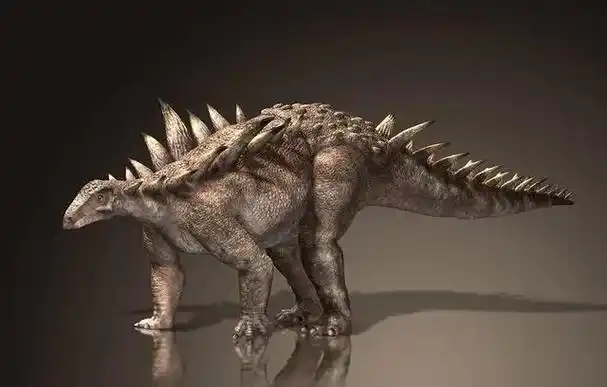 多刺甲龙属于甲龙类恐龙(ankylosauria),这个类群的恐龙通常带有硬质