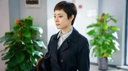 图源《安家》剧照  房似锦(孙俪 )