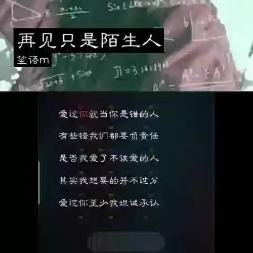 再见只是陌生人