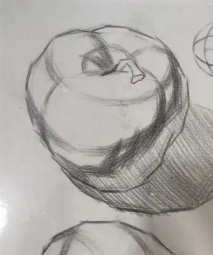 蔡〕素描静物(蔬菜水果第二课时)