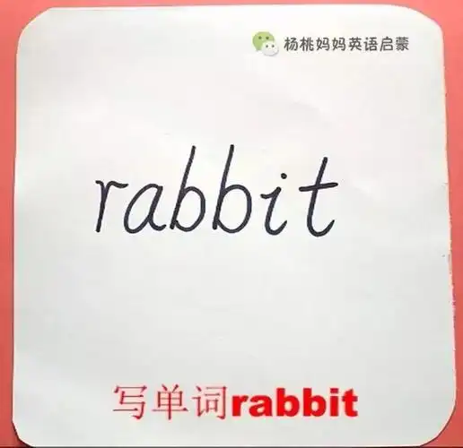 英语萌萌画 | rabbit兔子