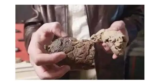 世界上最贵的大便,一坨能买七万元,网友:大便也能卖钱?