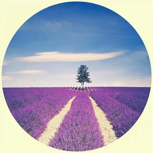 30张微信头像,令人流连忘返的唯美风景