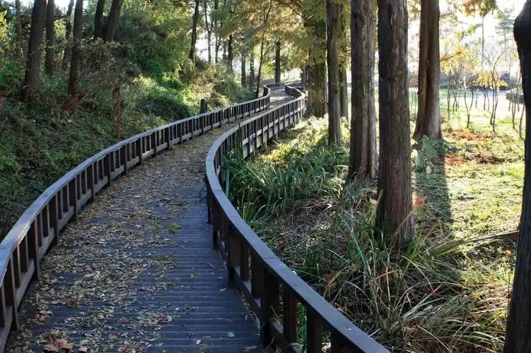 公园里的林间木栈道1024x600分辨率查看