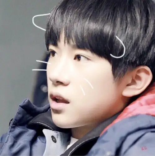 tfboys易烊千玺 【发现一只易萌猫】头像