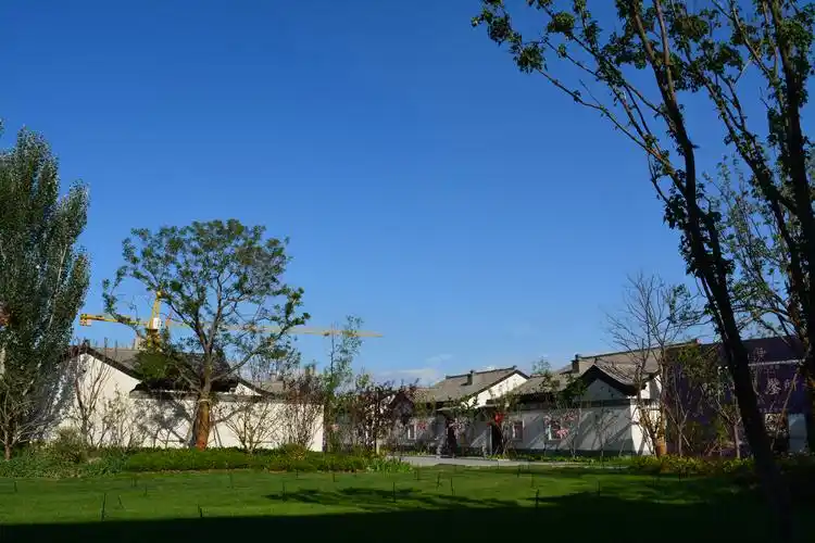 中式庭院邂逅城南生活,将院落情怀重新演绎