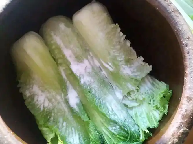 咸菜腌制时间过长能吃吗