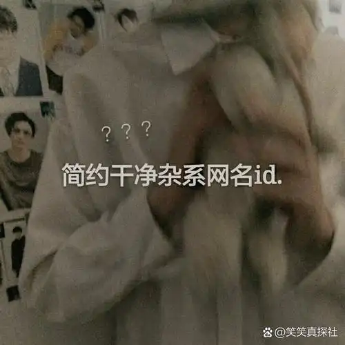 简约干净杂系网名id.