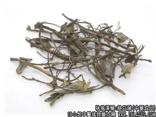 络石藤图片_络石藤的功效与作用 - 中药大全