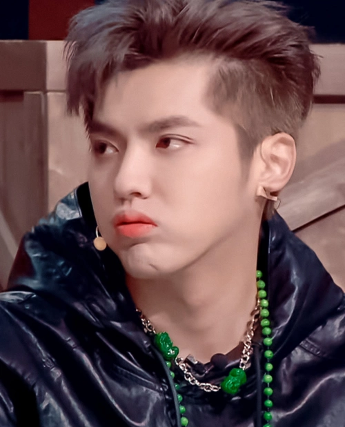 男明星嘟嘴肖战软萌陈伟霆可爱看到吴亦凡想带回家