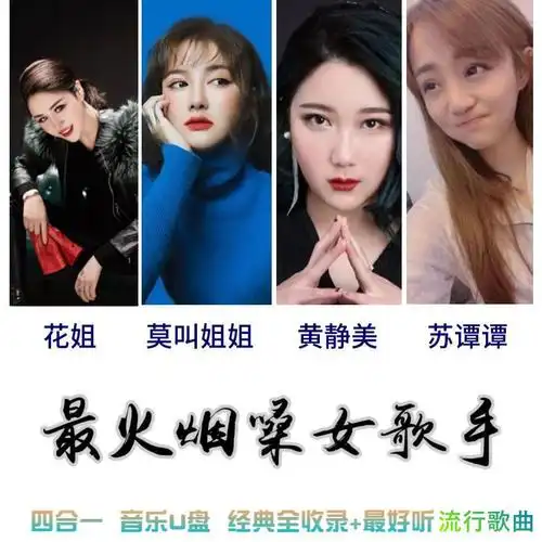 512m抖音烟嗓女声歌曲-80首【图片 价格 品牌 报价】-京东