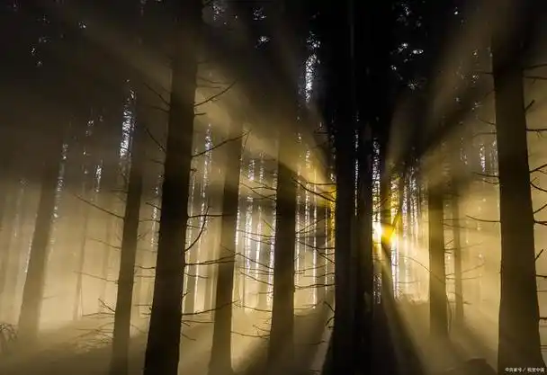 掌握光线构图,让你的摄影创作更出彩!