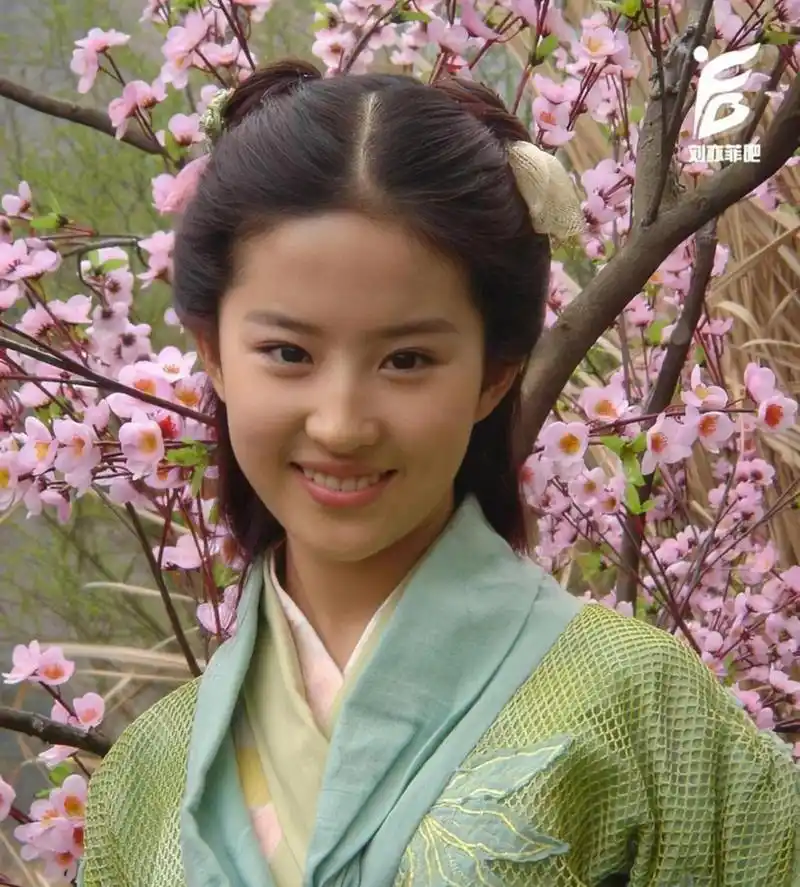 刘亦菲十几岁的时候真的很有灵气.  量身定制的角色