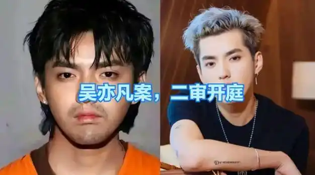 吴亦凡被判13年出狱后46岁了母亲发文大喊不服