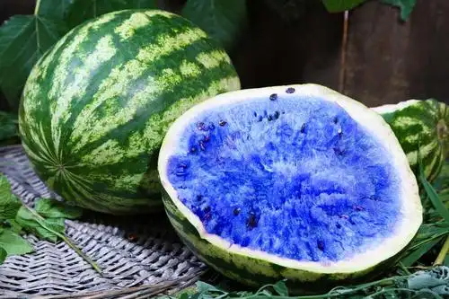 森趣文学社——花桥亿墨缘文学社团小学生作文展播 - 美篇