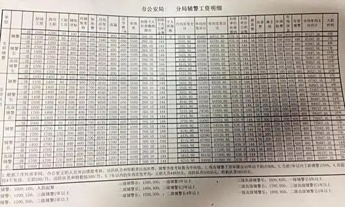 这是某市的辅警工资表,辅警工资明细表来了!真让人羡慕!